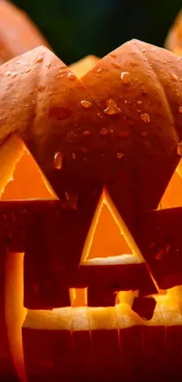 If you're looking for a spooky Halloween live wallpaper for your phone, this group of carved pumpkins is the perfect option