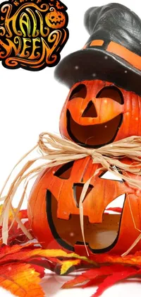Pumpkin Plant Calabaza Live Wallpaper