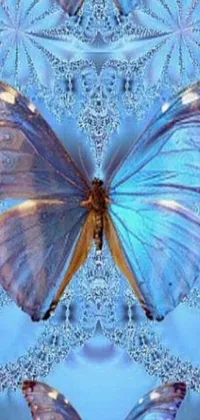 This live mobile wallpaper features a group of fluttering butterflies resting on a blue plate with an album cover design