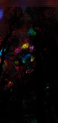 This phone live wallpaper features a stunning close-up of string lights