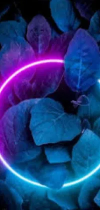 Purple Azure Organism Live Wallpaper