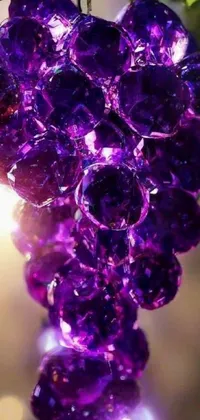 Purple Body Jewelry Organism Live Wallpaper