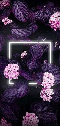 Purple Botany Textile Live Wallpaper