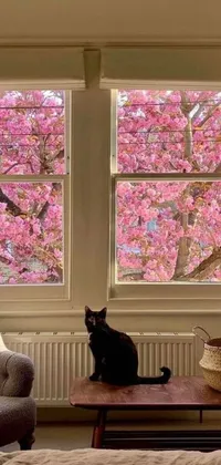 Transform your phone's home screen into a peaceful oasis with our live wallpaper featuring a cuddly cat sitting on a table in front of a giant cherry tree landscape