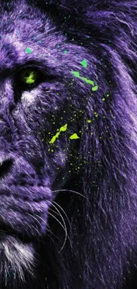 Purple Carnivore Dog Live Wallpaper