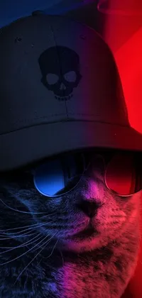 This live phone wallpaper features a stylish cat donning a hat and shades