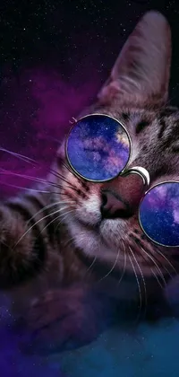 This phone wallpaper showcases a charming image of a cat wearing sunglasses