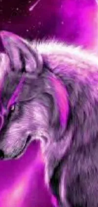 This live wallpaper showcases a stunning close-up of a wolf on a captivating purple background