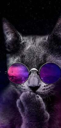 Get ready to add some serious style to your phone with this amazing live wallpaper! Featuring a cool cat wearing sunglasses, this digital art image is perfect for anyone who loves all things furry and fantastic