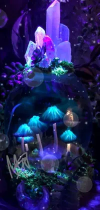 Mushroom  Live Wallpaper