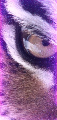 This phone live wallpaper features a beautiful and realistic close-up view of a tiger's eye