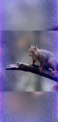 This phone live wallpaper features an appealing image of a squirrel sitting on a tree branch, rendered in digital art style
