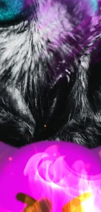 Purple Felidae Ear Live Wallpaper