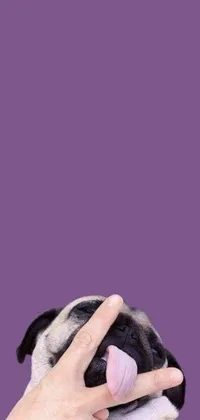 Purple Gesture Comfort Live Wallpaper