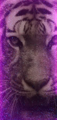 This stunning live phone wallpaper features a close-up of a majestic tiger's face with glitter and hologram effects, creating a dazzling and magical display