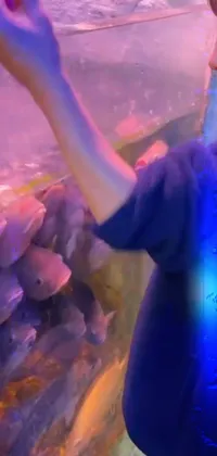 Purple Ice Hotel Lighting Live Wallpaper