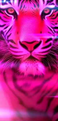 This eye-catching phone live wallpaper features a granular close-up of a tiger set against a lively pink background