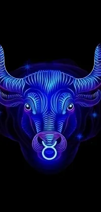 This live wallpaper features an intricate digital rendering of a bull's head in dark blue neon light