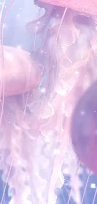 Purple Jellyfish Marine Invertebrates Live Wallpaper