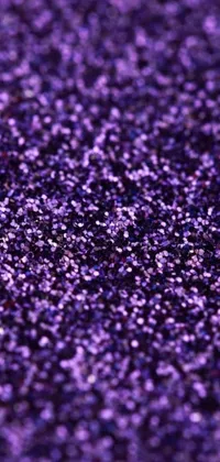 Purple Lavender Violet Live Wallpaper