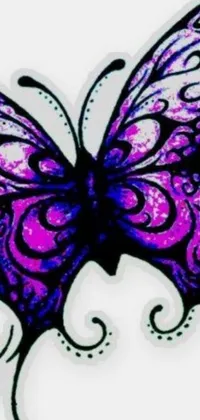This phone live wallpaper showcases a stunning purple and black butterfly set on a clean white background