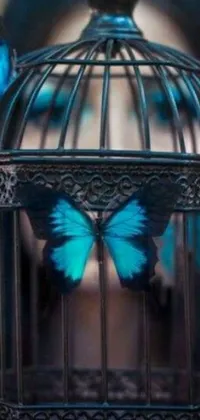 This phone live wallpaper features an image of a woman holding a bird cage containing a blue butterfly