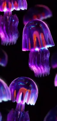 Purple Light Bioluminescence Live Wallpaper