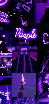 Purple Light Entertainment Live Wallpaper