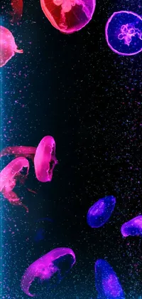 Purple Light Fluid Live Wallpaper