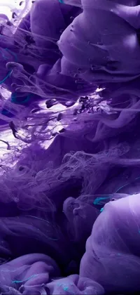 Purple Light Petal Live Wallpaper