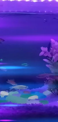 Purple Light Plant Live Wallpaper