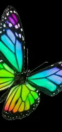 This phone live wallpaper depicts a colorful butterfly in stunning detail against a black background