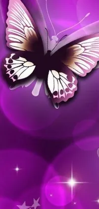 This stunning live wallpaper features a close-up of a butterfly on a purple vector art background