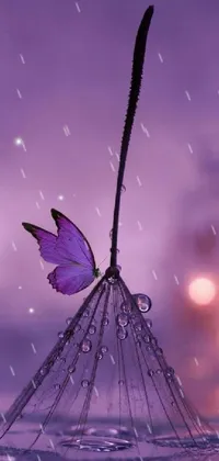 This enchanting live wallpaper for your phone features a breathtaking macro shot of a purple butterfly resting on a delicate net