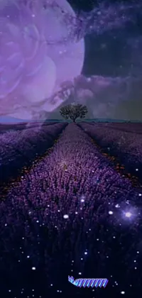 Purple Natural Environment Sky Live Wallpaper