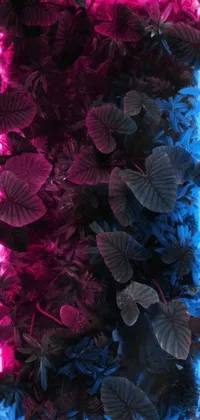 Purple Nature Botany Live Wallpaper