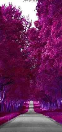Purple Nature Leaf Live Wallpaper