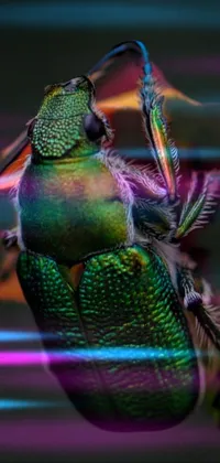 Discover a stunning phone live wallpaper featuring a green stag beetle on top of a flower, designed with deep iridescent colors of teal and orange