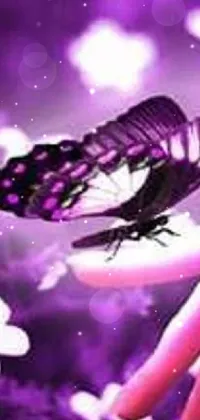 Purple Organism Insect Live Wallpaper