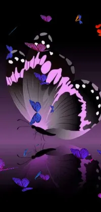This vibrant phone live wallpaper showcases a stunning butterfly in exquisite detail
