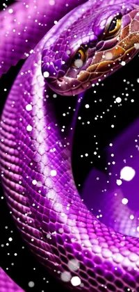 purple snake Live Wallpaper