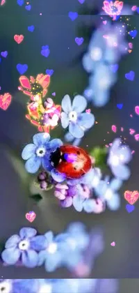 This incredible live wallpaper features a ladybug perched on a blue flower, surrounded by flickr, and bursting with fantastic realism