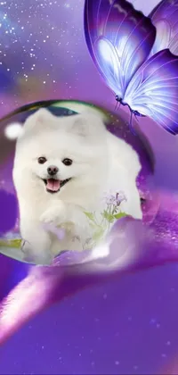 This phone live wallpaper features a small white dog sitting on a purple flower in a soft pastel blue background