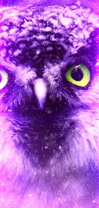 This phone live wallpaper features a detailed close up of an owl with captivating green eyes