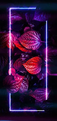 Purple Rectangle Visual Effect Lighting Live Wallpaper