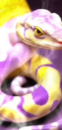 python Live Wallpaper