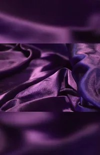 Purple Sleeve Petal Live Wallpaper