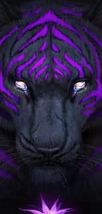 This live wallpaper displays a captivating portrait of a majestic tiger with blue eyes and a black and violet costume