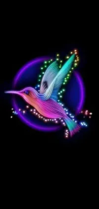 This live wallpaper for your phone showcases a colorful hummingbird perched on a sleek black background