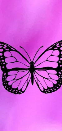 This phone live wallpaper features a black and white butterfly on a vibrant pink background